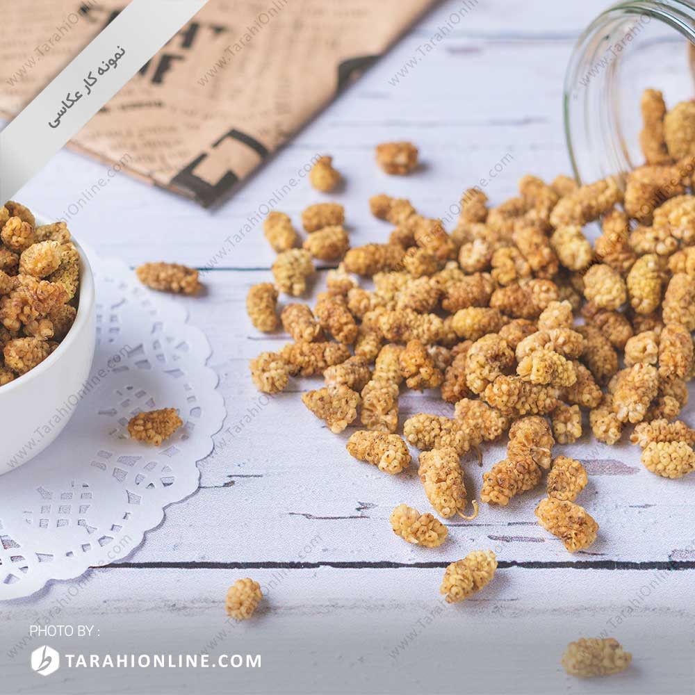 عکاسی از میوه خشک - توت